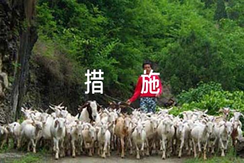 家长如何为孩子选择合适的篮球冬令营?_0